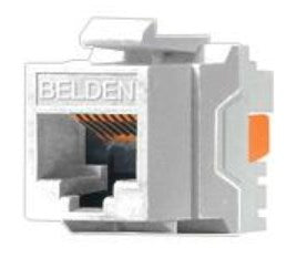 RJ45 CAT6 Jack Connector Belden AX101320 RJ-45 White 