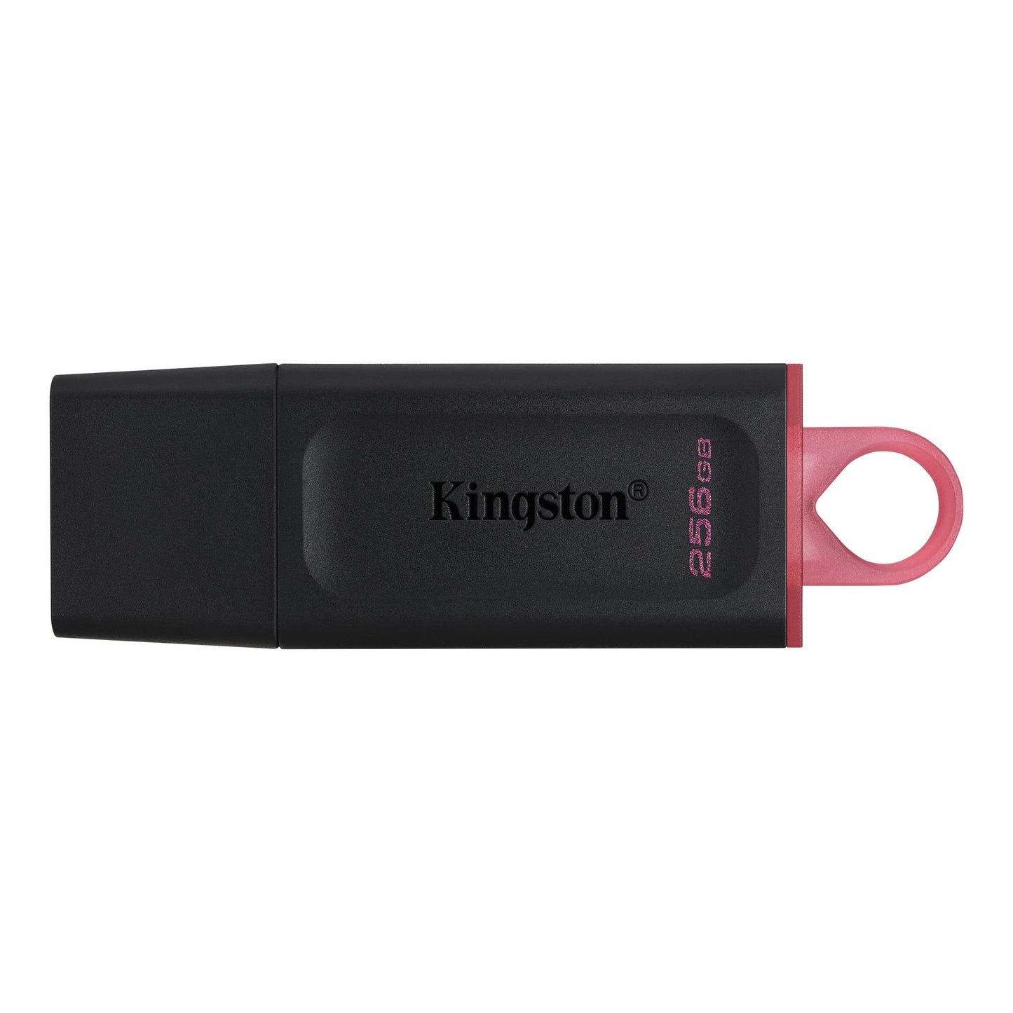 Memoria USB Kingston Technology DTX/256GB Negro USB - Escolar Express