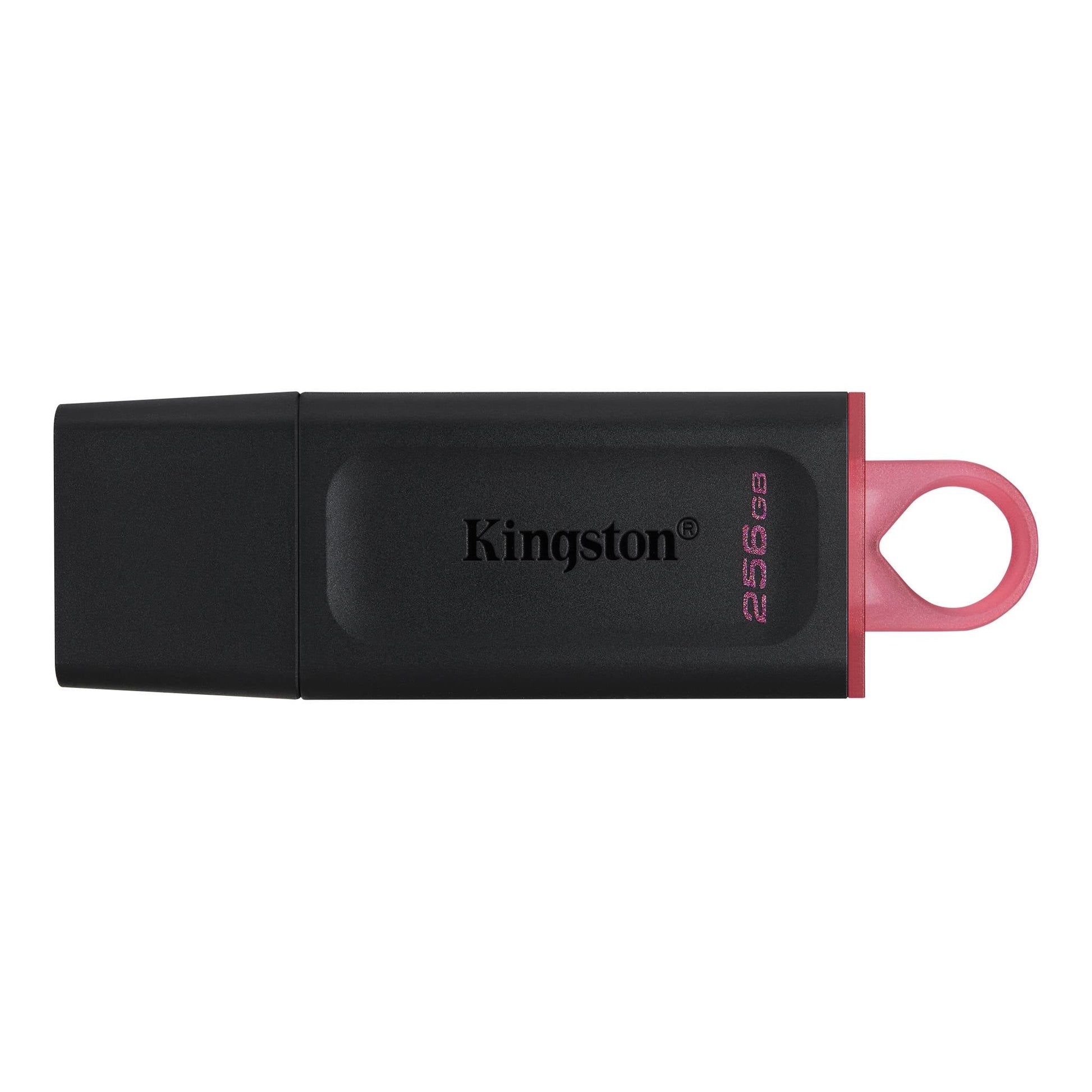 Memoria USB Kingston Technology DTX/256GB Negro USB - Escolar Express